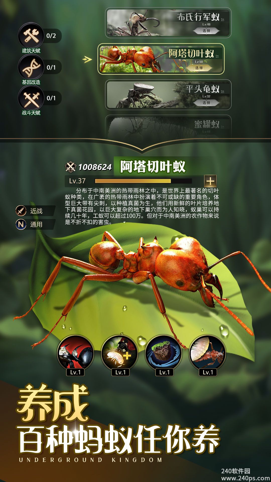 小小蚁国2022最新版