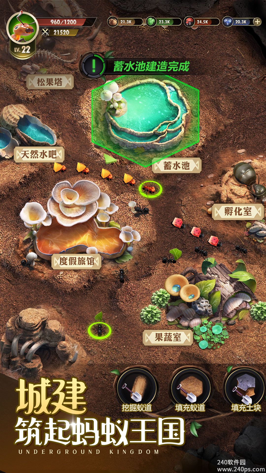 小小蚁国官方2022最新版