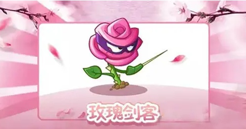 植物大战僵尸2玫瑰有什么用 植物大战僵尸2玫瑰攻略