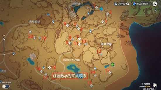 原神赤念果采集路线 赤念果快速采集路线推荐