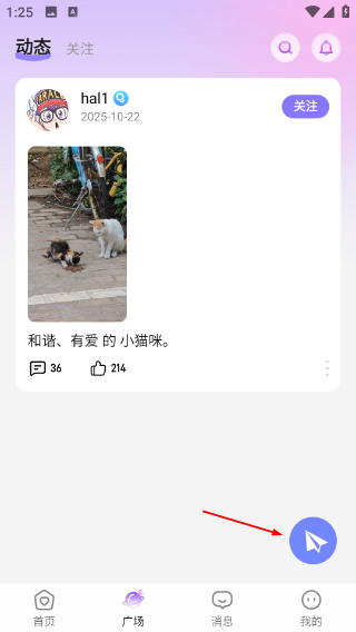 喵呜开黑