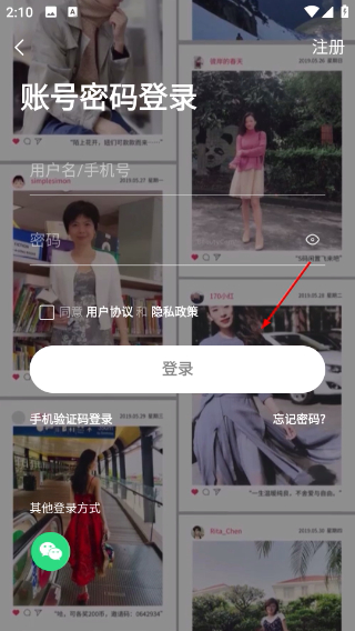 发光公社