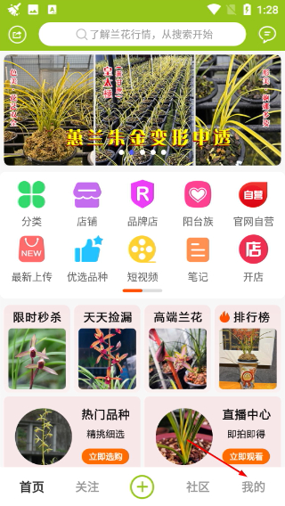 兰花交易网