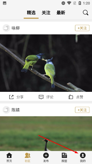 识鸟家