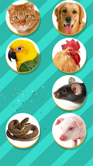 PetTranslator
