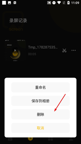 录屏大师秀