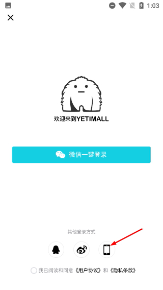 液体猫