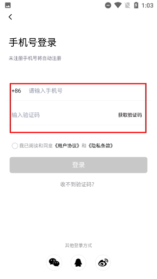 液体猫