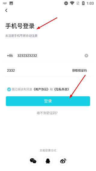 液体猫