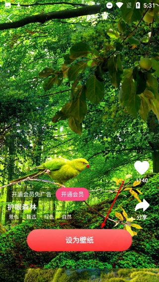 超萌壁纸