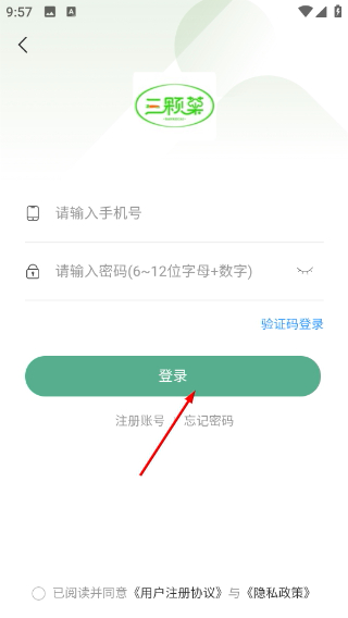 三颗菜