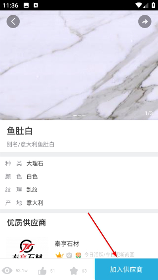 石猫