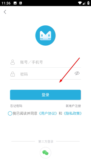 石猫