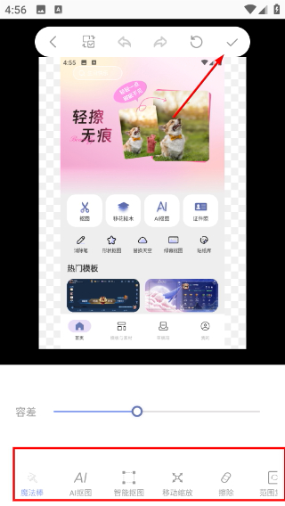 photo抠图P图
