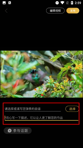 虫虫钢琴网