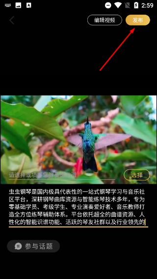 虫虫钢琴网