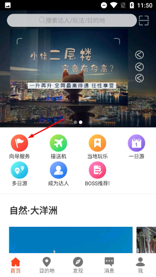 8只小猪