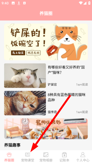 遇见我的猫