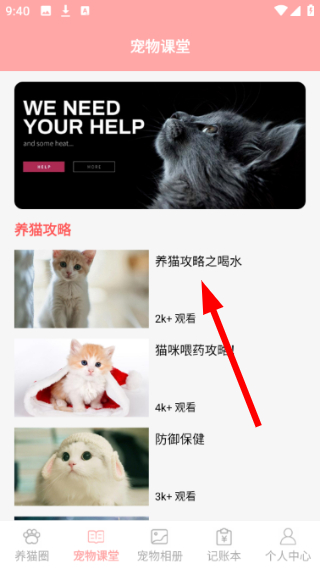 遇见我的猫