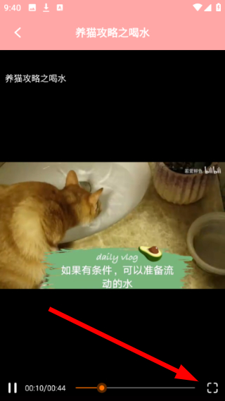 遇见我的猫