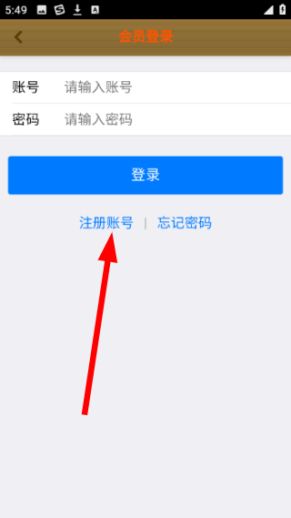 中国大蒜网