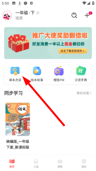 鲤鱼辅导