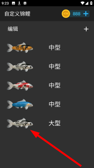 鱼池