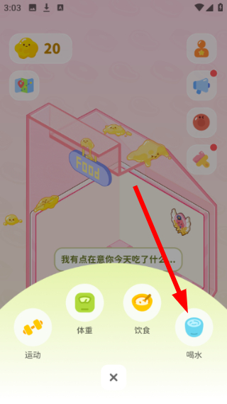 Bodii