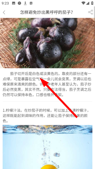 掌厨
