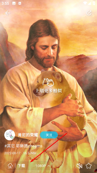 星咩视频壁纸