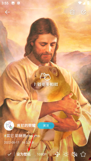 星咩视频壁纸
