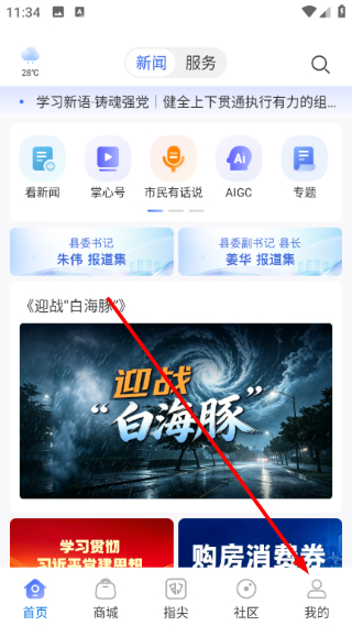 掌心长兴