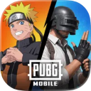 绝地求生国际服下载2026最新版本-pubg
