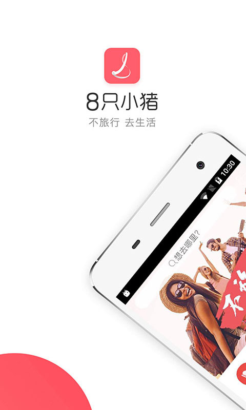 8只小猪
