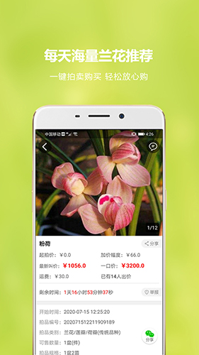 兰花交易网