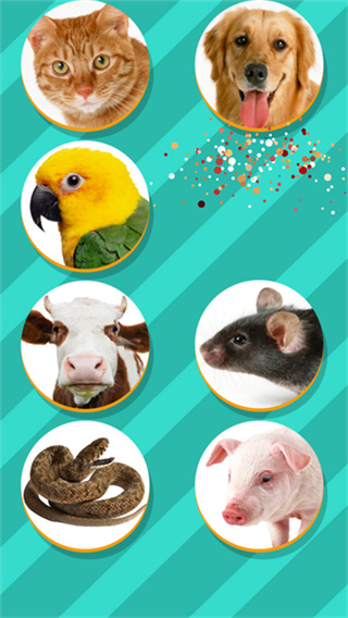 PetTranslator