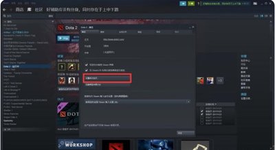 Dota2启动失败怎么办？专家教你如何解决！