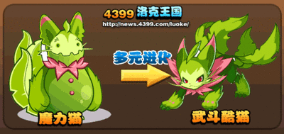 洛克王国攻略：武斗酷猫的养成与技能搭配解析