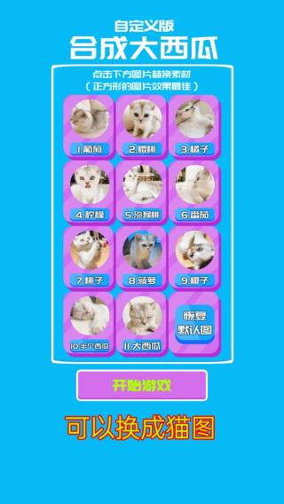 合成大西瓜创意工坊(自定义版合成大西瓜)