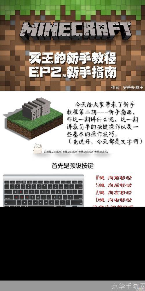 掌握软件使用技巧：从新手到专家的全面指南