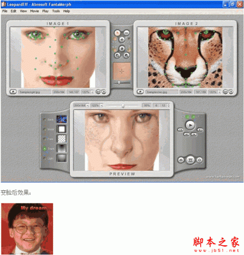 奇幻变脸秀安装指南：一步步教你如何轻松安装