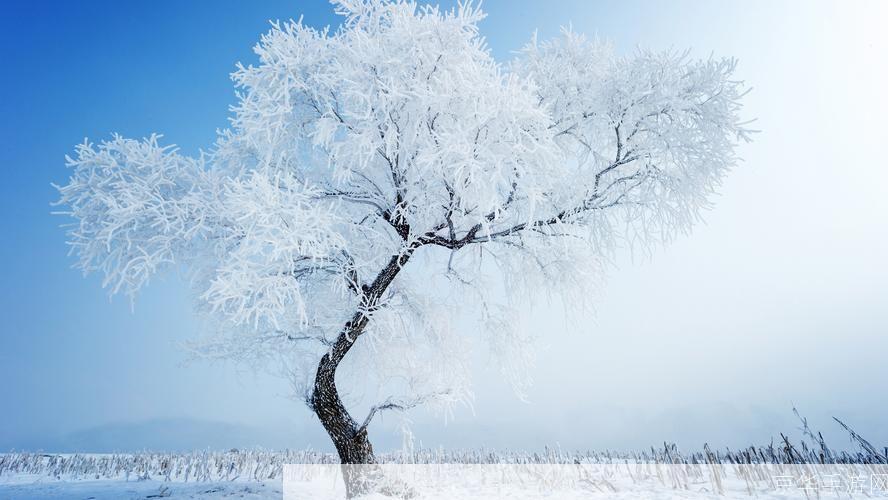 桌面下雪软件: 桌面下雪软件：让你的电脑屏幕变身冬季仙境