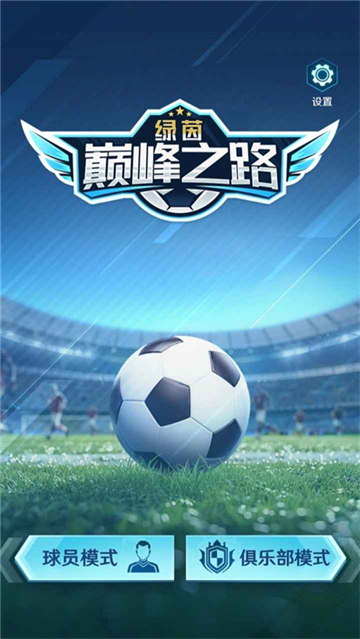 绿茵巅峰之路