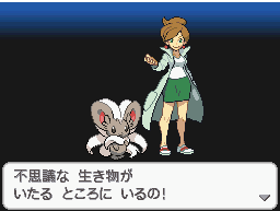 《口袋妖怪黑白》二周目：挑战新高度，探索无尽冒险