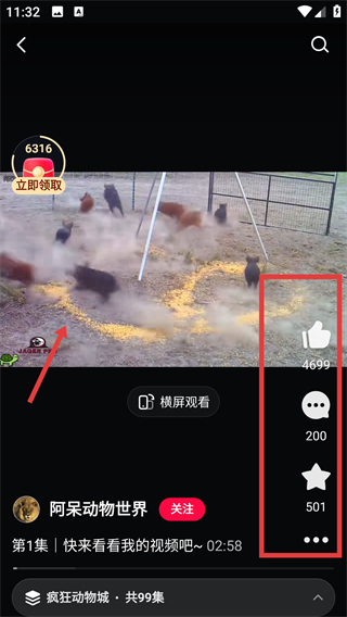 西瓜视频