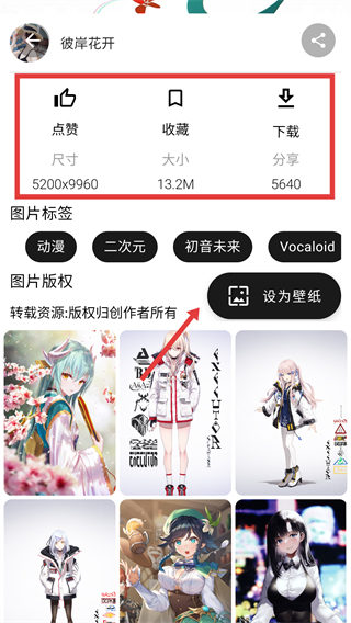 心悦壁纸
