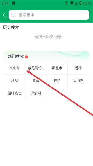 苗仓