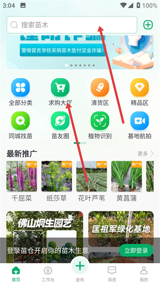 苗仓