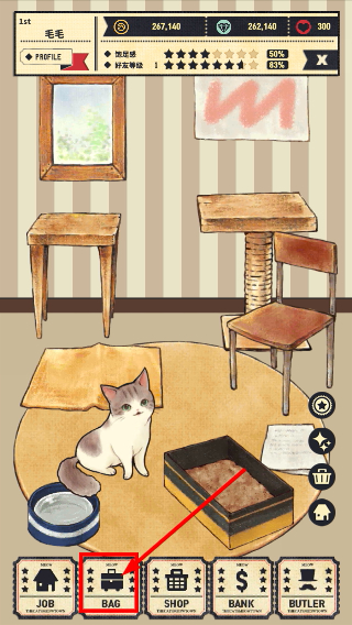 猫咪天堂