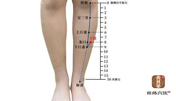 知源经络穴位